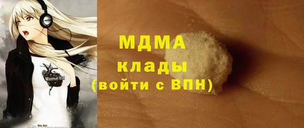 индика Бородино